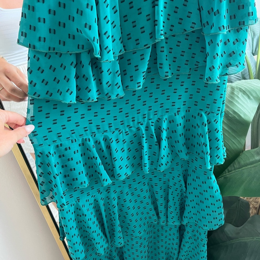 Tularosa Ruffled Maxi Dress - Picture 5 of 9